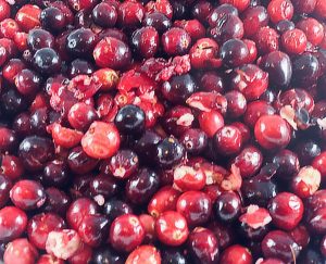 Cranberries popped 